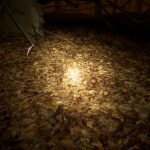 Blair Witch Game 023