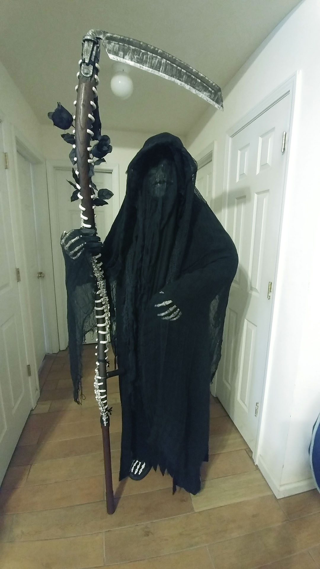 Diy Grim Reaper Wraith Costume - Gambaran