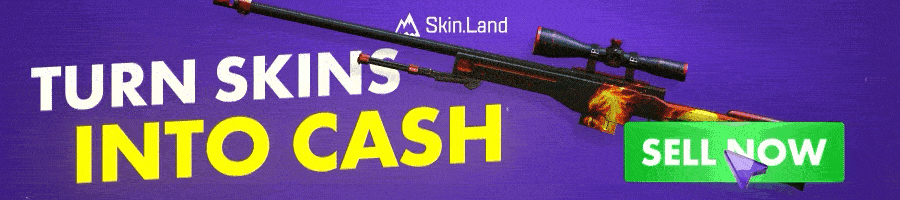 Skin.Land Banner