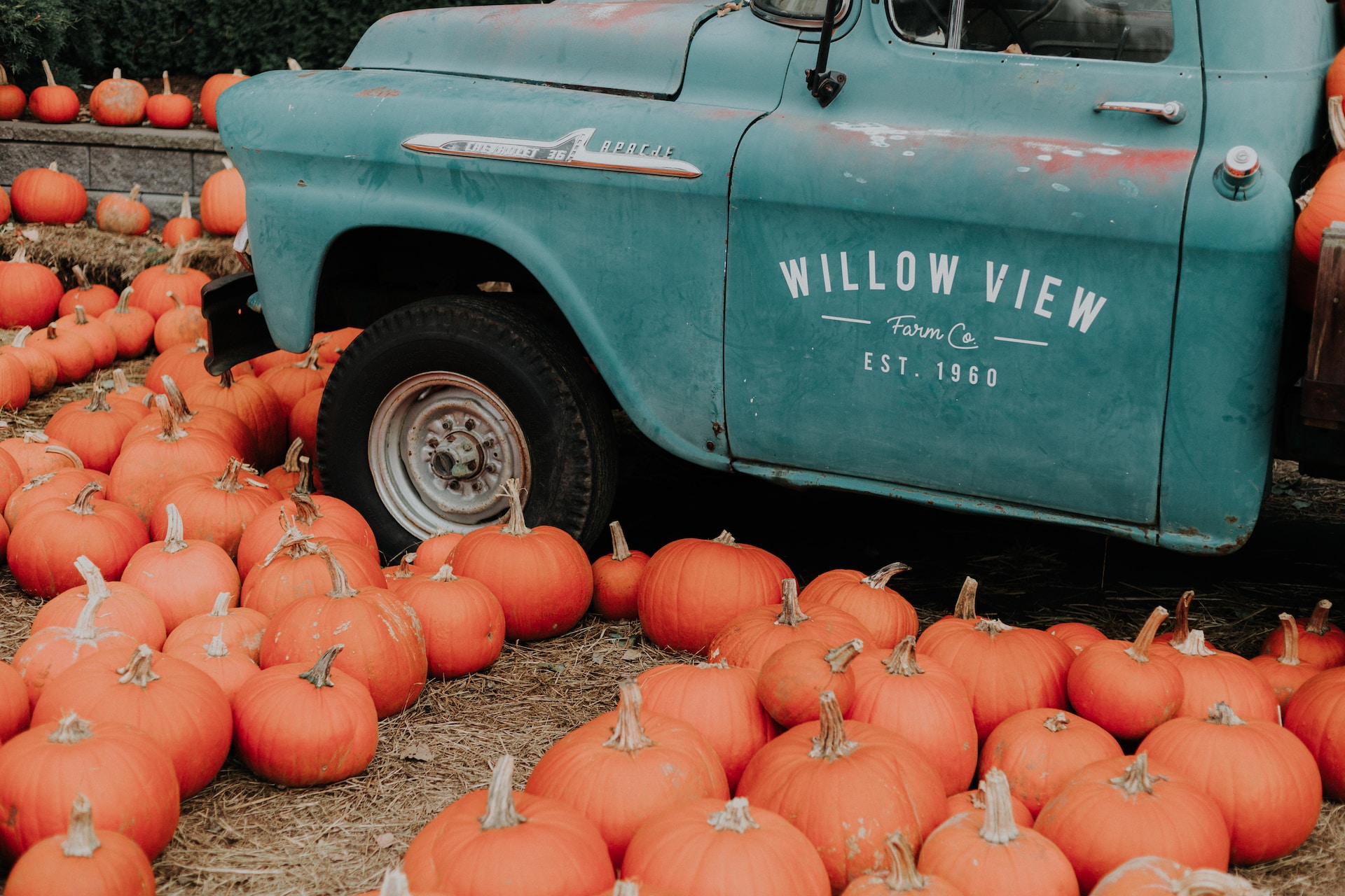 Halloween Truck