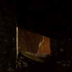 Indiana Jones Great Circle 267