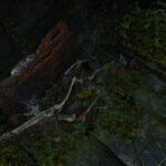 Indiana Jones Great Circle 273