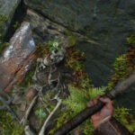 Indiana Jones Great Circle 282