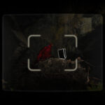 Indiana Jones Great Circle 308