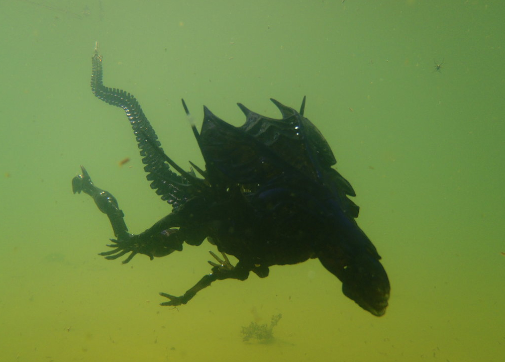 Queen Alien Action Figure Underwater