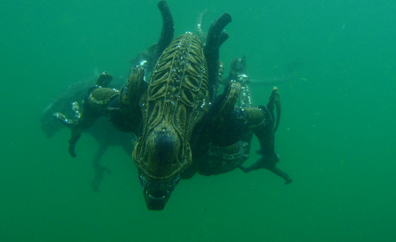 Underwater Toy Photography